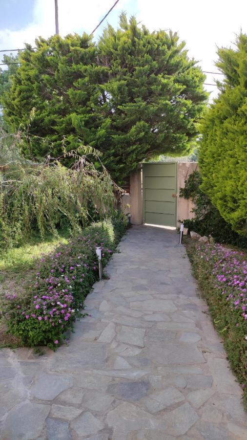 Villa Katerina Ialysos  Exterior photo